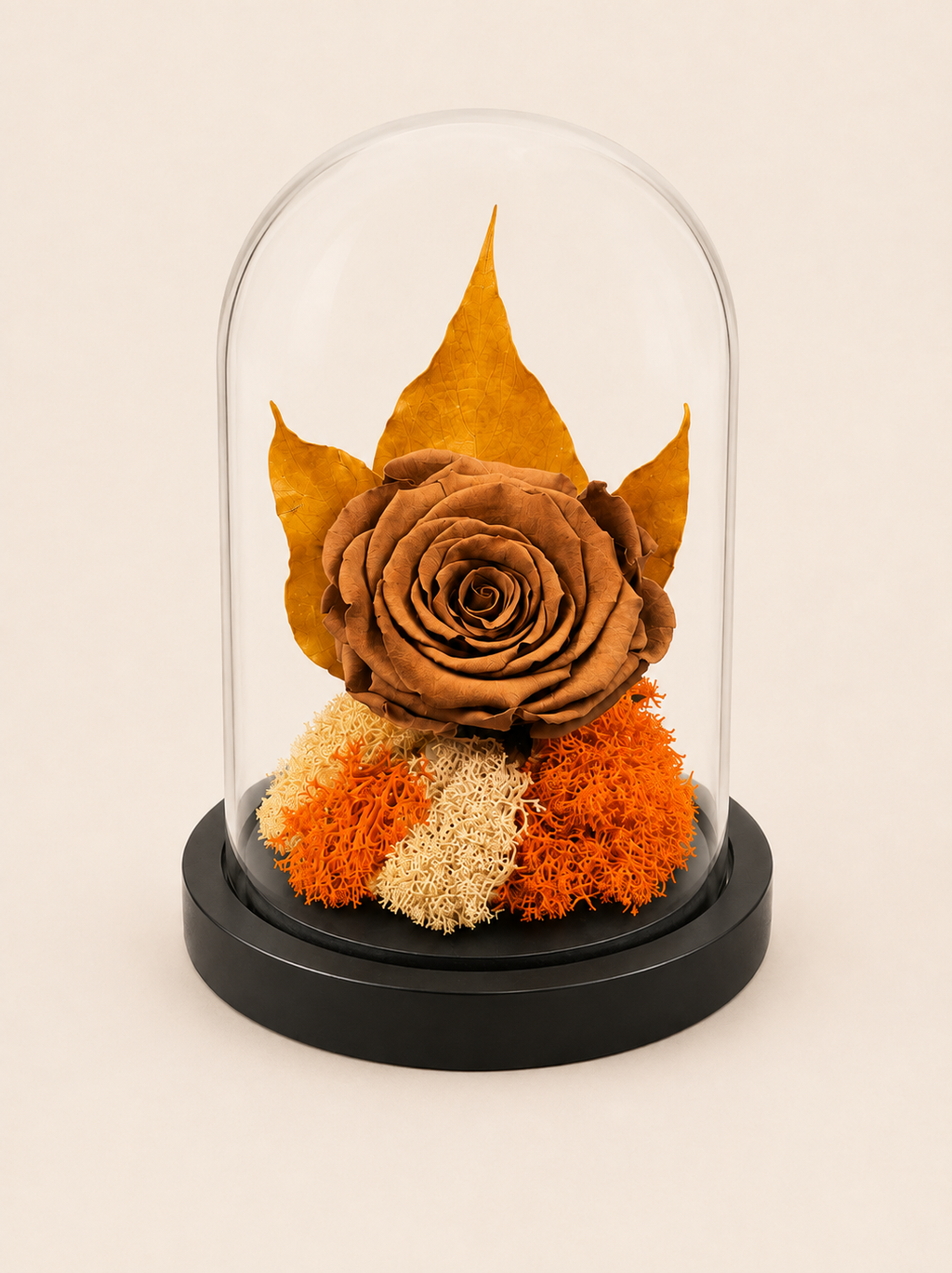 Trandafir Criogenat Amber Bloom
