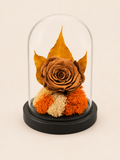 Trandafir Criogenat Amber Bloom