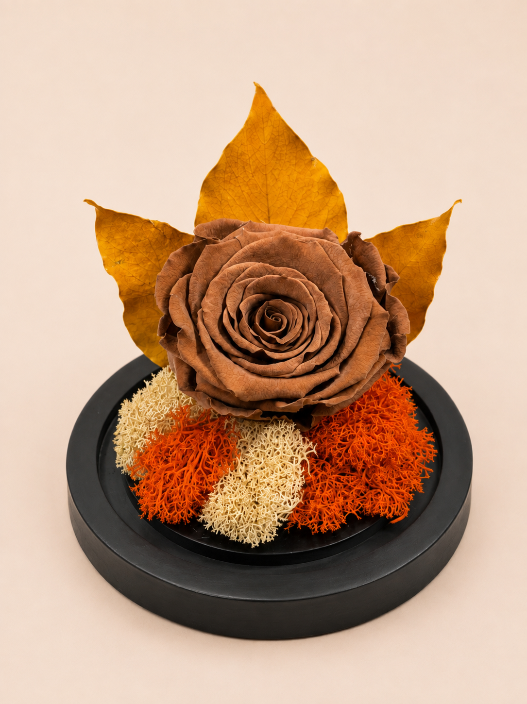 Trandafir Criogenat Amber Bloom