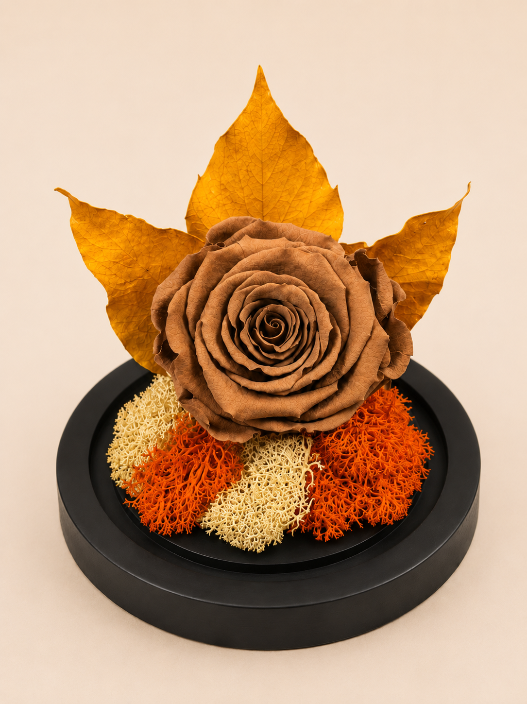 Trandafir Criogenat Amber Bloom