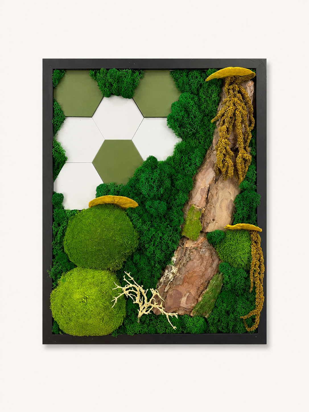 Tablou Licheni Botanical Geometry 42 cm x 52 cm