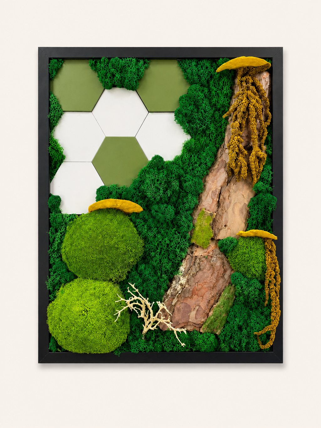 Tablou Licheni Botanical Geometry 42 cm x 52 cm