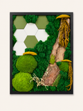 Tablou Licheni Botanical Geometry 42 cm x 52 cm