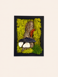 Forest Relic 12 cm x 17 cm