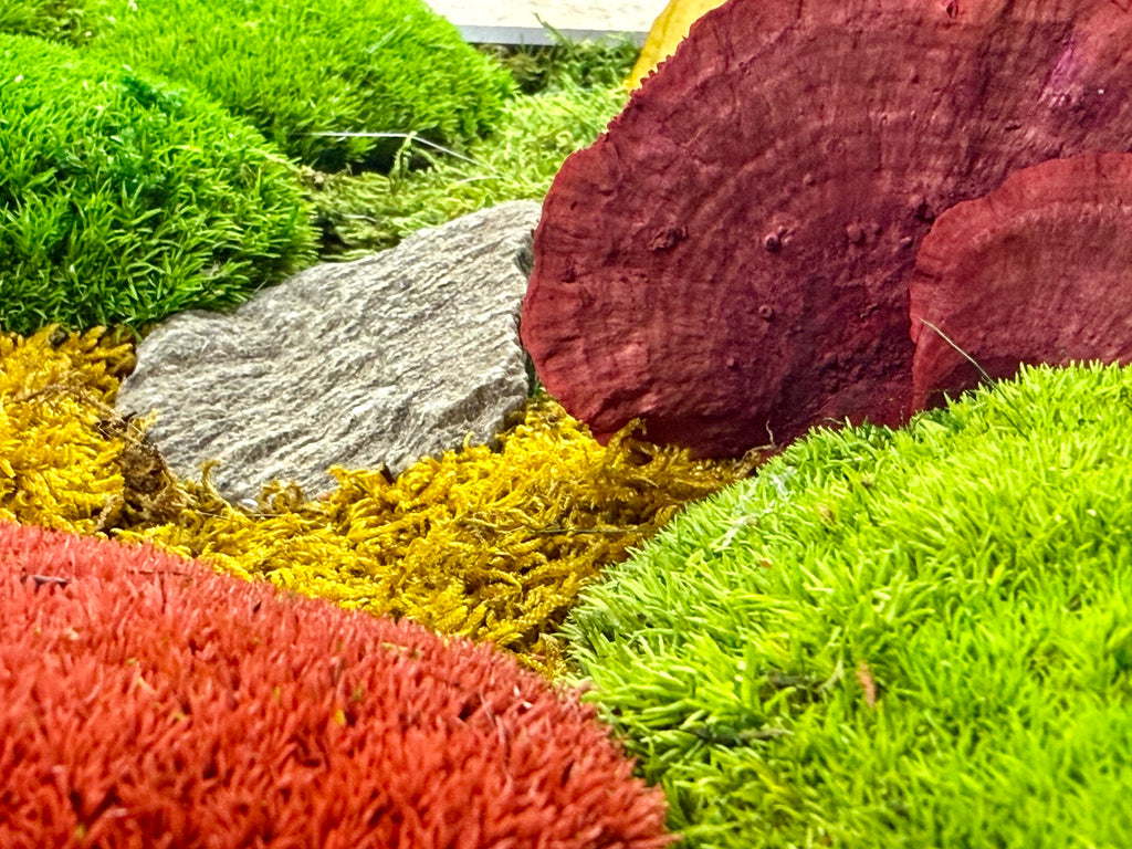 Moss Valley 30 cm x 40 cm
