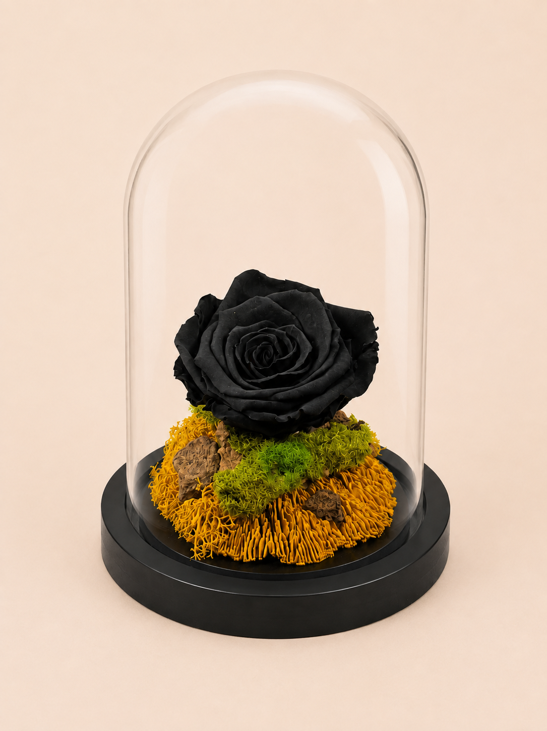 Trandafir Criogenat Obsidian Bloom