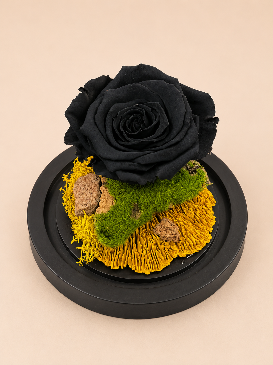 Trandafir Criogenat Obsidian Bloom