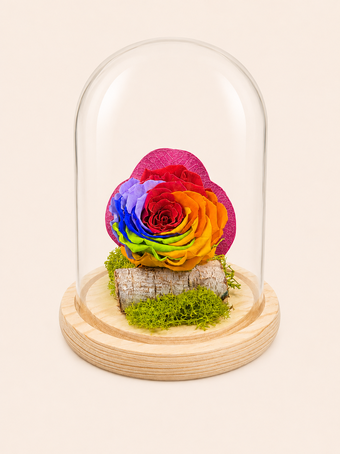 Trandafir Criogenati Rainbow Eternity