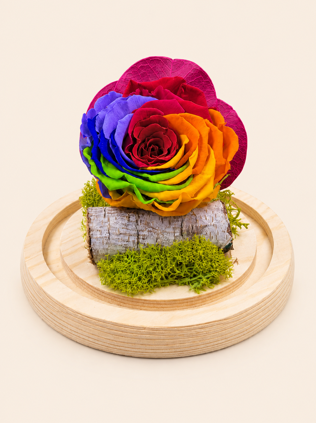 Trandafir Criogenati Rainbow Eternity