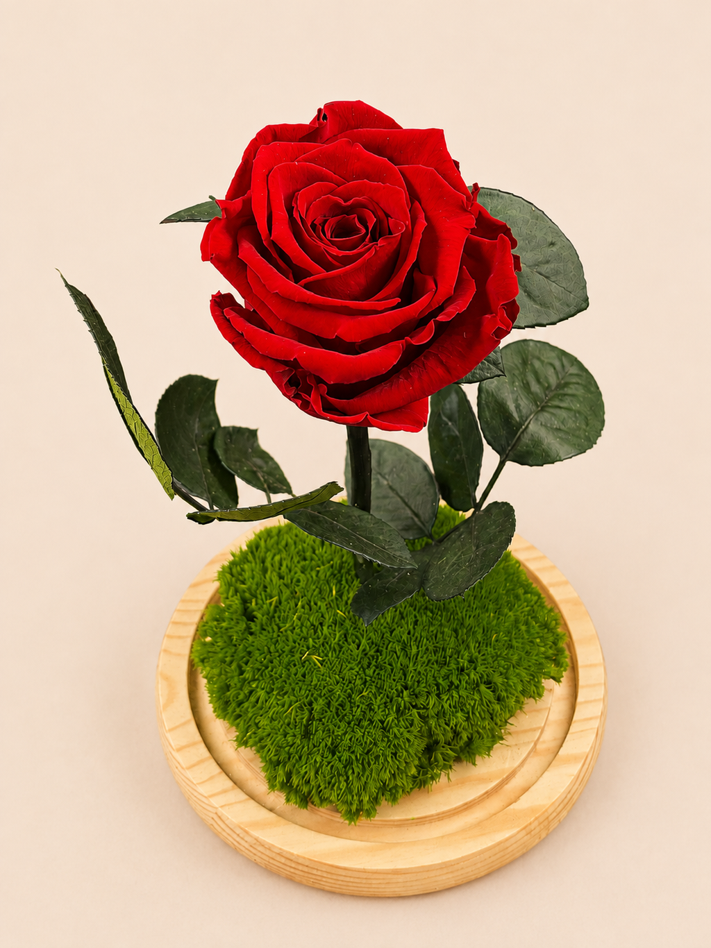 Trandafir Criogenat Red Velvet Grove