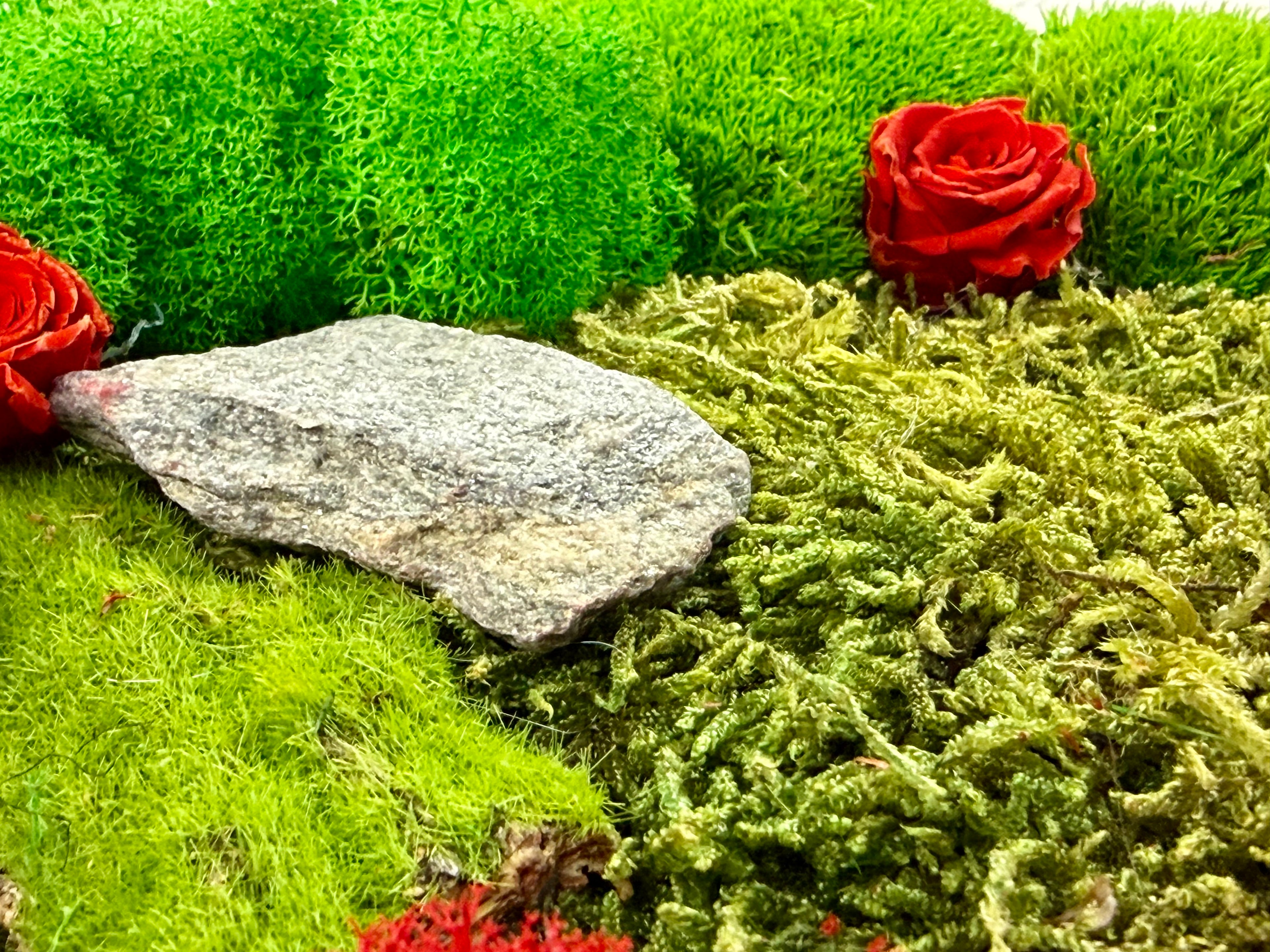 Roses in the Forest 21 cm x 30 cm