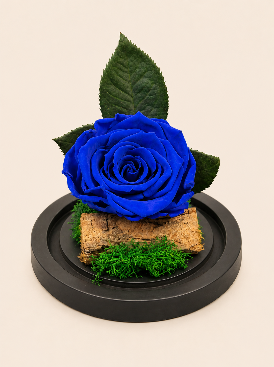 Trandafir Criogenat Blue Royal