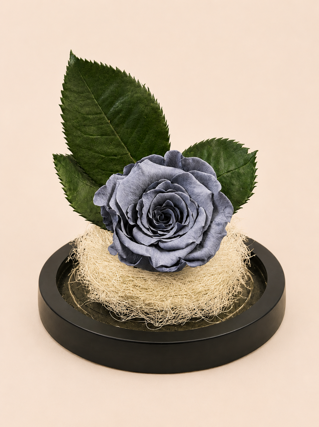 Trandafir Criogenat Silver Whisper